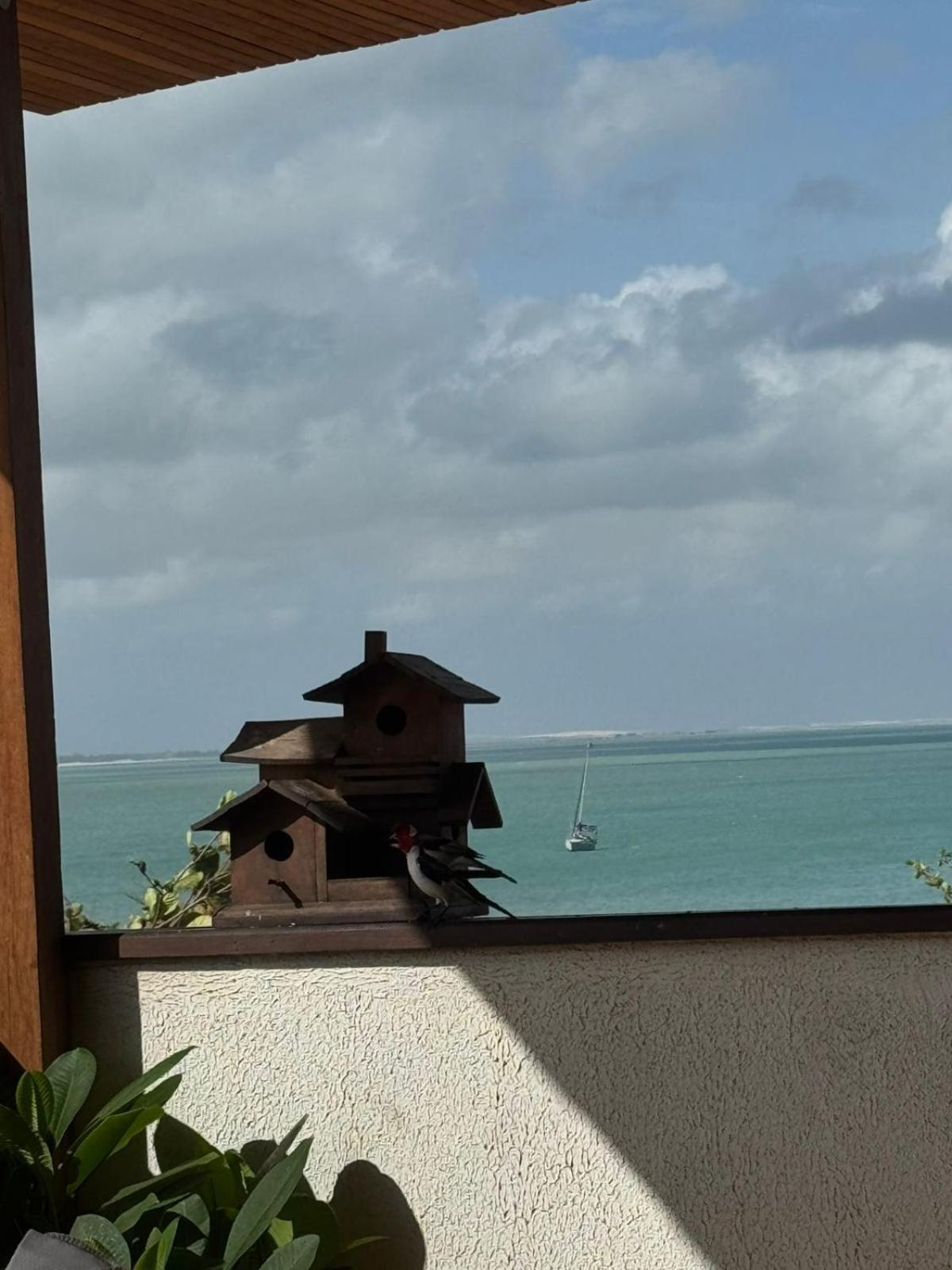 Pousada Amazing Jeri Jericoacoara Extérieur photo